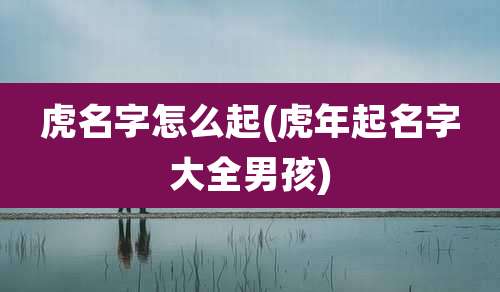 虎名字怎么起(虎年起名字大全男孩)