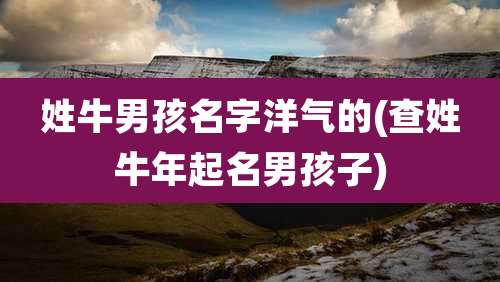 姓牛男孩名字洋气的(查姓牛年起名男孩子)