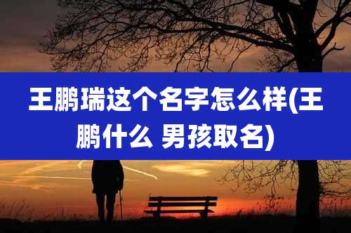 王鹏瑞这个名字怎么样(王鹏什么 男孩取名)