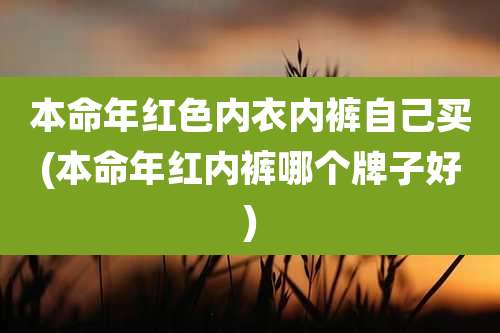 本命年红色内衣内裤自己买(本命年红内裤哪个牌子好)