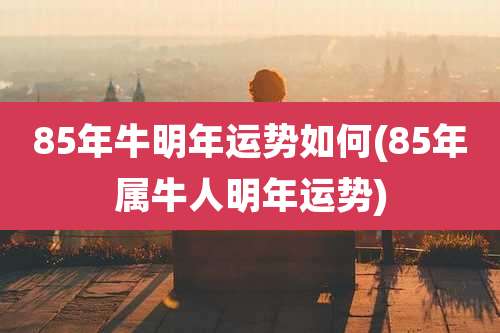 85年牛明年运势如何(85年属牛人明年运势)