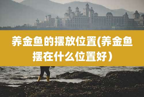 养金鱼的摆放位置(养金鱼摆在什么位置好)