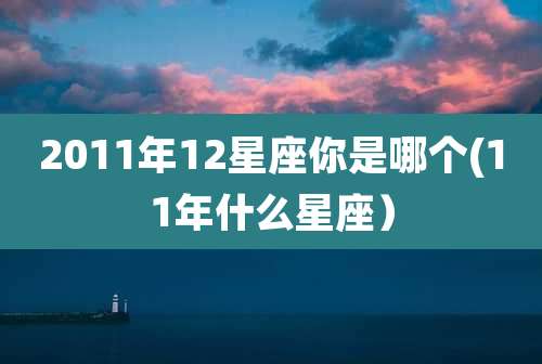 2011年12星座你是哪个(11年什么星座)