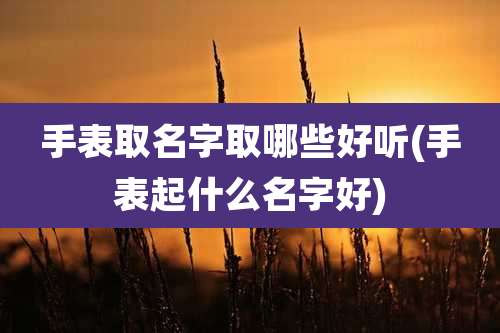 手表取名字取哪些好听(手表起什么名字好)