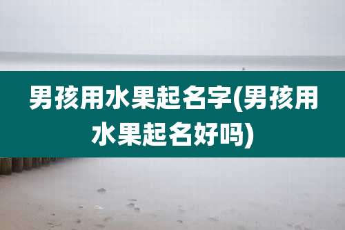 男孩用水果起名字(男孩用水果起名好吗)
