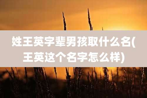 姓王英字辈男孩取什么名(王英这个名字怎么样)