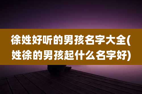 徐姓好听的男孩名字大全(姓徐的男孩起什么名字好)