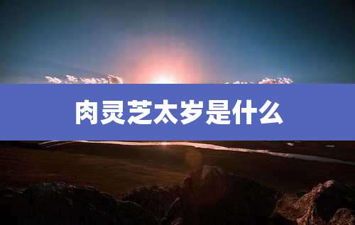 肉灵芝太岁是什么