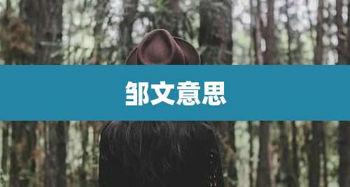 邹文意思