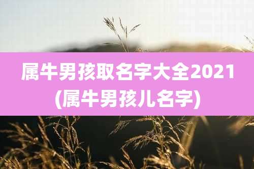 属牛男孩取名字大全2021(属牛男孩儿名字)