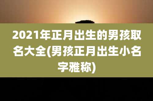 2021年正月出生的男孩取名大全(男孩正月出生小名字雅称)