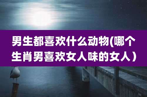 男生都喜欢什么动物(哪个生肖男喜欢女人味的女人）