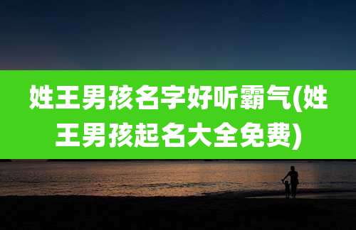 姓王男孩名字好听霸气(姓王男孩起名大全免费)