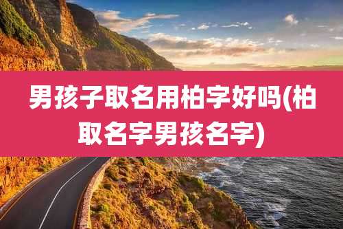 男孩子取名用柏字好吗(柏取名字男孩名字)