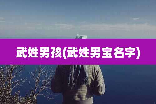 武姓男孩(武姓男宝名字)