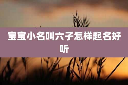 宝宝小名叫六子怎样起名好听