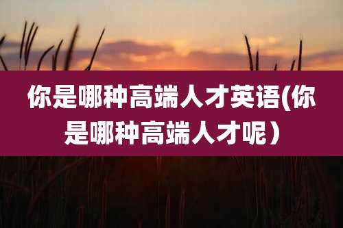 你是哪种高端人才英语(你是哪种高端人才呢)