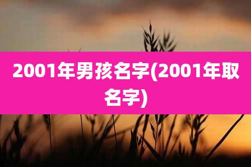 2001年男孩名字(2001年取名字)