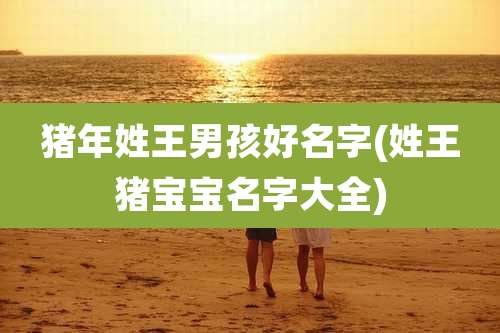 猪年姓王男孩好名字(姓王猪宝宝名字大全)