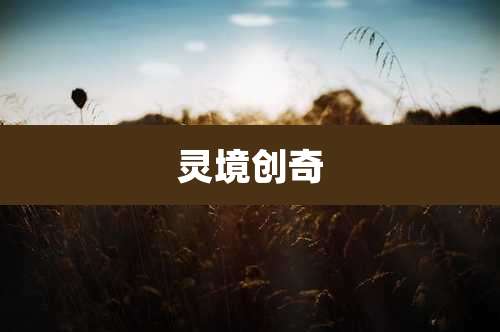 灵境创奇