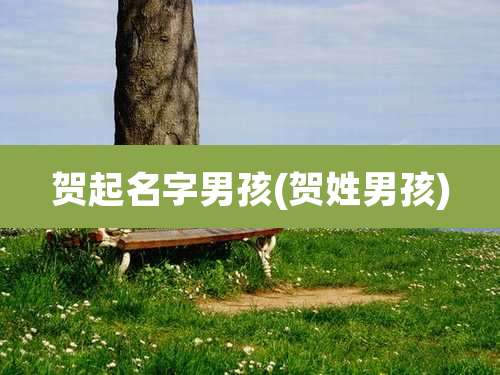 贺起名字男孩(贺姓男孩)