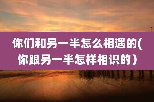 你们和另一半怎么相遇的(你跟另一半怎样相识的)