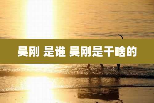 吴刚 是谁 吴刚是干啥的