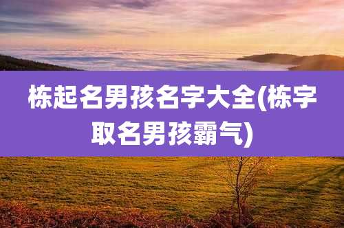 栋起名男孩名字大全(栋字取名男孩霸气)