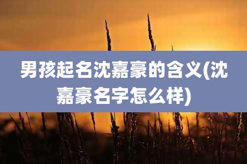 男孩起名沈嘉豪的含义(沈嘉豪名字怎么样)