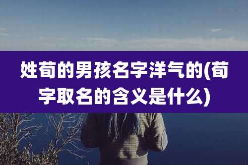 姓荀的男孩名字洋气的(荀字取名的含义是什么)