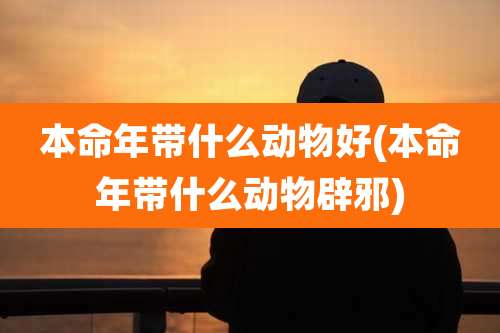 本命年带什么动物好(本命年带什么动物辟邪)