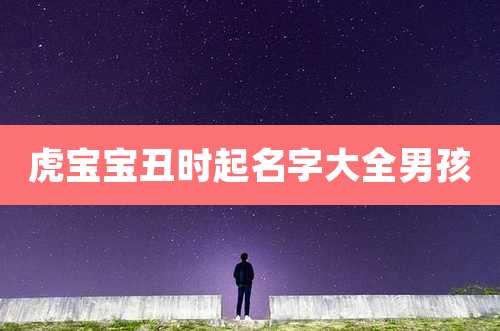 虎宝宝丑时起名字大全男孩