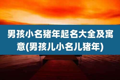 男孩小名猪年起名大全及寓意(男孩儿小名儿猪年)