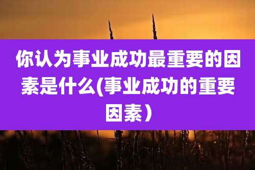你认为事业成功最重要的因素是什么(事业成功的重要因素）