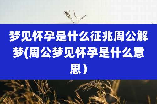 梦见怀孕是什么征兆周公解梦(周公梦见怀孕是什么意思）