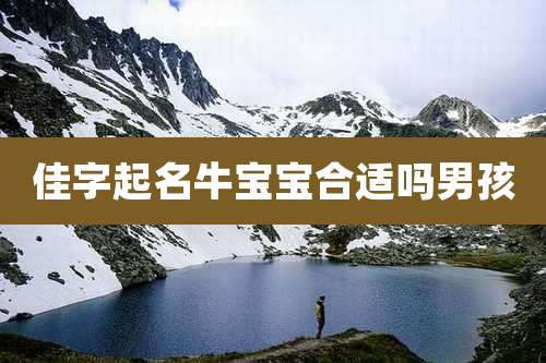 佳字起名牛宝宝合适吗男孩