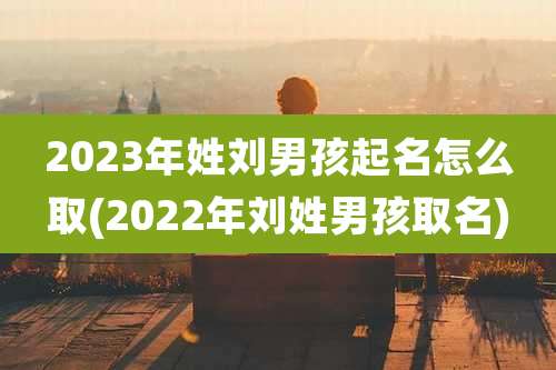 2023年姓刘男孩起名怎么取(2022年刘姓男孩取名)