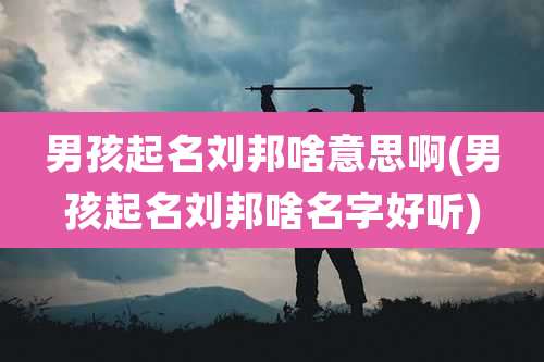 男孩起名刘邦啥意思啊(男孩起名刘邦啥名字好听)