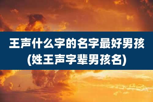 王声什么字的名字最好男孩(姓王声字辈男孩名)