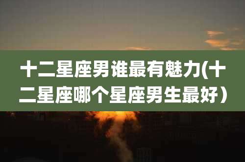 十二星座男谁最有魅力(十二星座哪个星座男生最好）