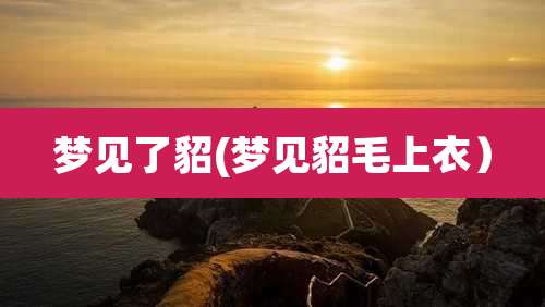 梦见了貂(梦见貂毛上衣)