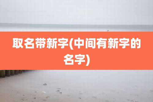 取名带新字(中间有新字的名字)