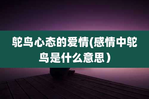 鸵鸟心态的爱情(感情中鸵鸟是什么意思)