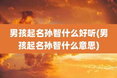 男孩起名孙智什么好听(男孩起名孙智什么意思)