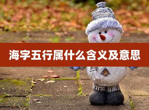 海字五行属什么含义及意思