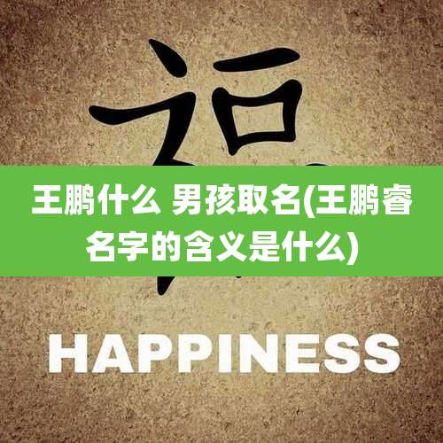 王鹏什么 男孩取名(王鹏睿名字的含义是什么)