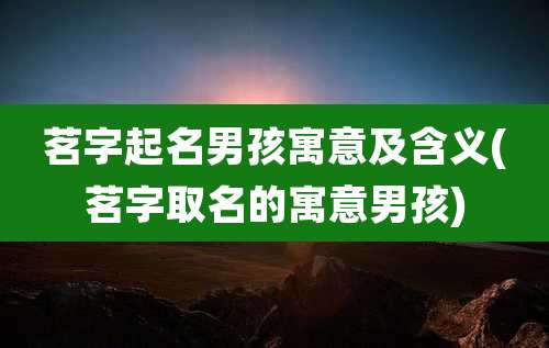 茗字起名男孩寓意及含义(茗字取名的寓意男孩)