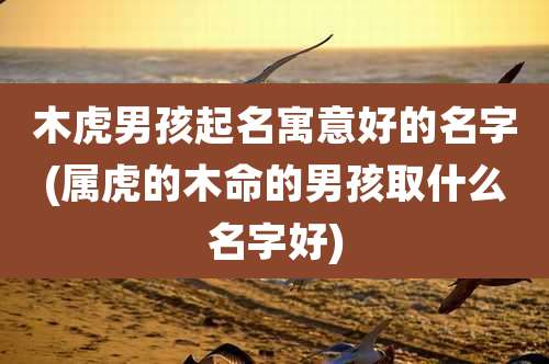 木虎男孩起名寓意好的名字(属虎的木命的男孩取什么名字好)
