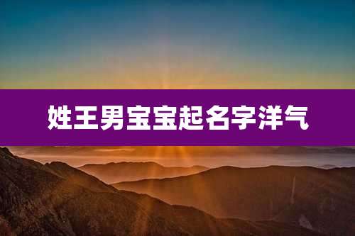 姓王男宝宝起名字洋气