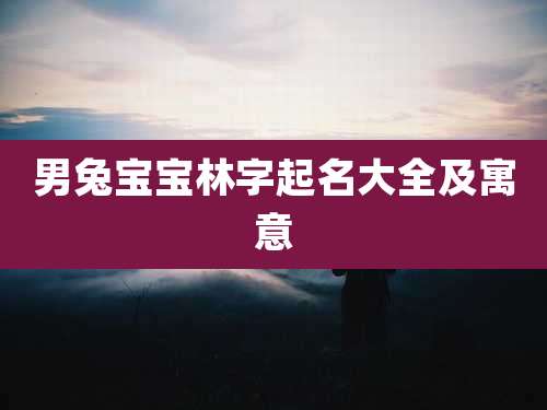 男兔宝宝林字起名大全及寓意